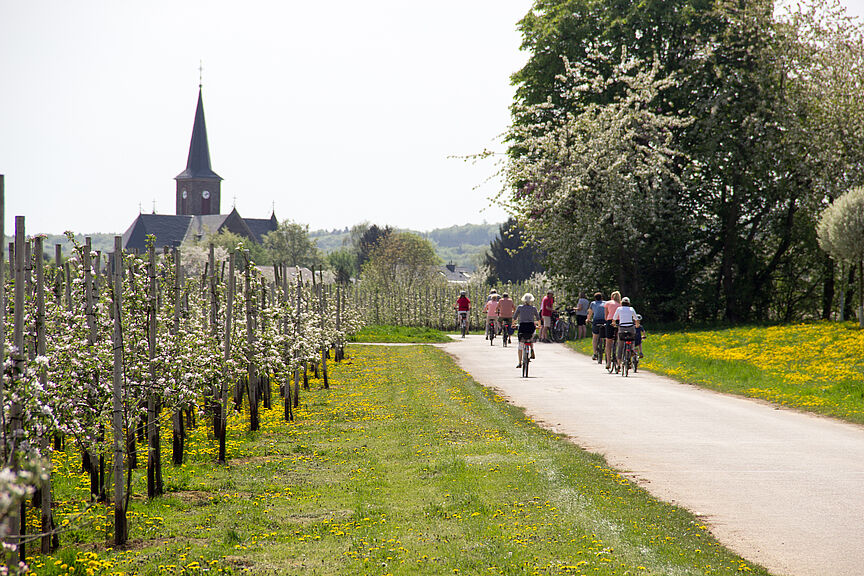 2018 Frühling Meckenheimer Blütentour 2018 Frühling Meckenheimer Blütentour